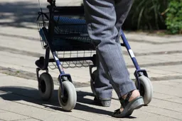 anwb rollatorcheck pixabay