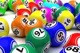 bingo1