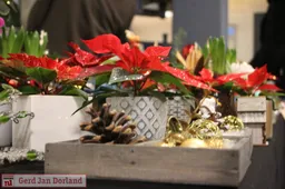 kerstmarkt rhederhof 2022 14