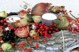 kerstworkshop groei bloei veluwezoom