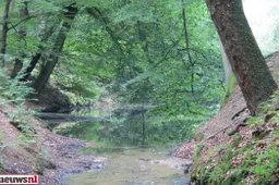 p81df0tjt4hsqqp95srwri2mv natuur veluwezoom