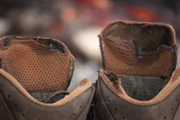 wandeling kitty terwolbeck via fotercom cc by