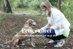 petsconnect ancilla van oirsouw