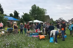 plantenruilbeurs in de dorpstuin van rheden rietta veldhuis