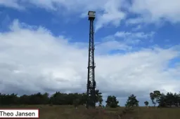 brandtoren rozendaalse veld rhedennieuwsnl