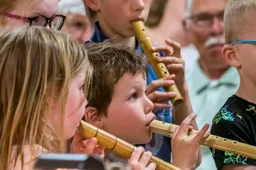 muziekmaatje aart van raalte