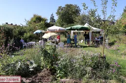 open dag in de dorpstuin rheden trekt bezoekers 07 09 2024 14