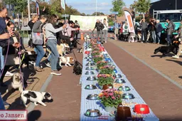 gezellig dierendagbuffet in dieren trekt weer veel baasjes en viervoeters 05 10 2024 5