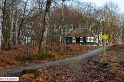 koepel de kaap 2016
