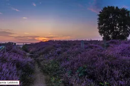 posbankpaarsehei2016