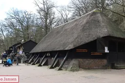 adoptie 1e lammetje rhedense schaapskudde 2025 19