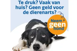 koninklijke hondenbescherming campagne
