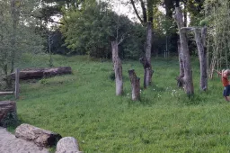 paardenspeelweibasketzandbak1