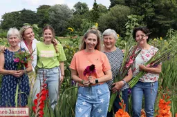 Gladiolenfestival in Laag-Soeren trekt weer veel bezoekers 2025 (1)