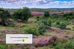 Lokale klimaatadaptatiestrategie - gemeente Rheden