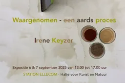 Waargenomen - een aards proces expositiebeeld - Irene Keyzer