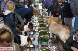 Dierendagbuffet 2025 (1)