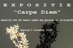 Expositie Carpe Diem1 - Nieuwe Ruimte Velp