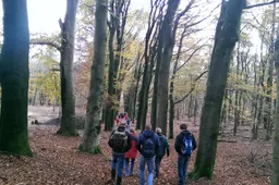 IVN Wandeling - Verborgen bosgeheimen - Corlène van den Camp