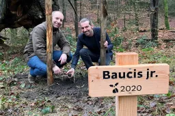 Baucis gemeente Rheden