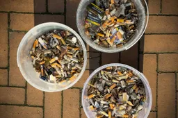 bakken met peuken PvdD Rheden