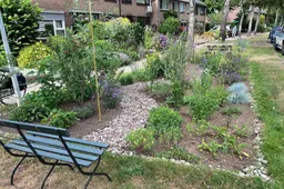 Buurttuin Bernard Zweerslaan Dieren