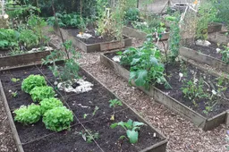 Kindertuin Rozendaal Ria van Doorn