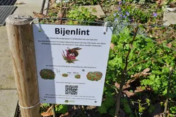 Bijenlint RN