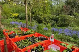Groei & Bloei afd. Veluwezoom