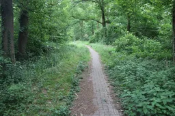 onverwachte natuur IVN Oost-Veluwezoom