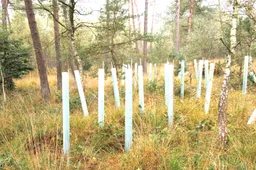 IVN Oost-Veluwezoom