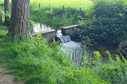 IVN wandeling - Beken bij Biljoen - IVN Oost-Veluwezoom