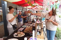 Kunst, muziek en theater trekken veel publiek naar Winkelcentrum -Dieren  (6)