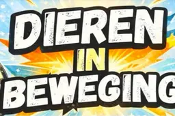 Dieren in Beweging - Winkelcentrum Dieren