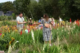 Gladiolenfestival in Laag-Soeren trekt opnieuw veel bezoekers 16-8-26 (11)