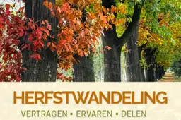 Herfstwandeling1 - Jorine Dirks
