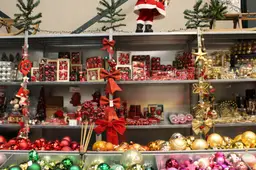 Kerstshow 2Switch Dieren