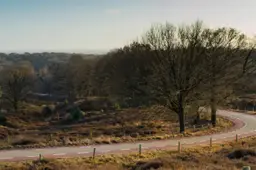 Veluwezoom - rheden.nieuws.nl