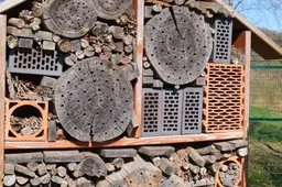 20260228 insectenhotel