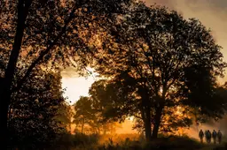 avond wandeling door de Meinweg met VVV Hart van Limburg gids  ©HartvanLimburg