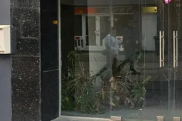 whatsapp image 2024 04 09 at 203104