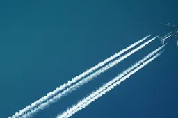 1000086619
