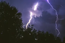 1000086630