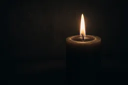 ddd4e265-e1f1-4a67-b9ee-8f37357f4ed7