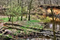 3-stromen-wandeling (1)