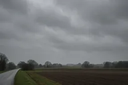 Grijze Lucht boven Platteland