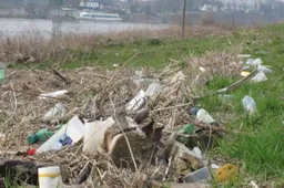 20250329 schone maas