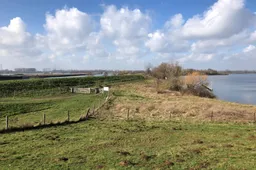 20260426 isabellagreend