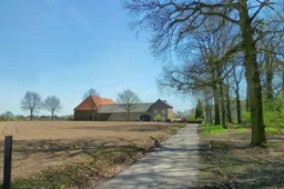 12019-limburg-105760