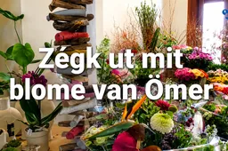 Zégk ut mit blome van Ömer